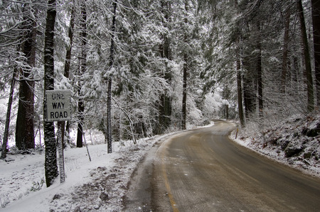 Frozen Road in Yosemite - nature, yosemite, forest, snow, park, winter, road