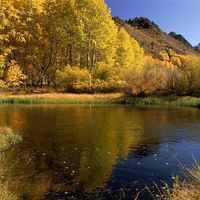 Lake and trees