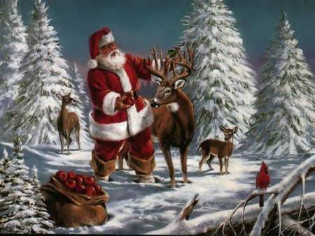 wheres rudalph - animals, santa claus, santa, st nick, tree, pine trees, old, birds, winter, claus, apples, deer, bird, christmas, woods, forest, snow, christmass trees