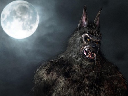 Werewolf - moon, sky, man, night, animal, werewolf