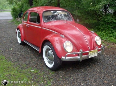 VW Bug - vw, bug