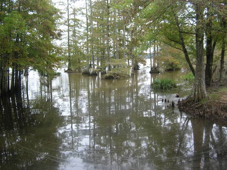 Noxubee Refuge - noxubee refuge, water