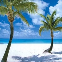 Coco Point Beach, Barbuda