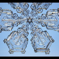 Snow Crystal