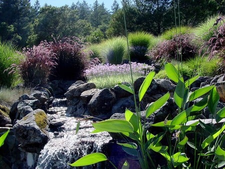 Garden Stream - flowers, trees, garden, stream, rocks