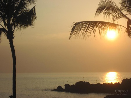 Tropical Maui - ocean, palm trees, maui, tropical sunset, island