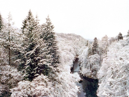 Pass of Killiecrankie, Scotland - snow, river, winter, frosty trees, bridge, scotland