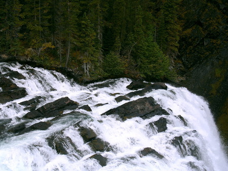 Torrent Falls - waterfalls, forest, rocks