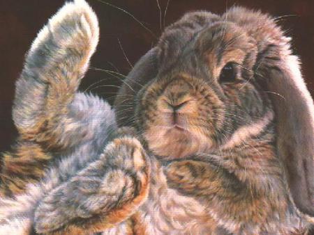 Cute Bunny - rabbit, upside down, brown