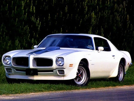 Pontiac Trans-Am 1971 - pontiac, trans-am, 1971