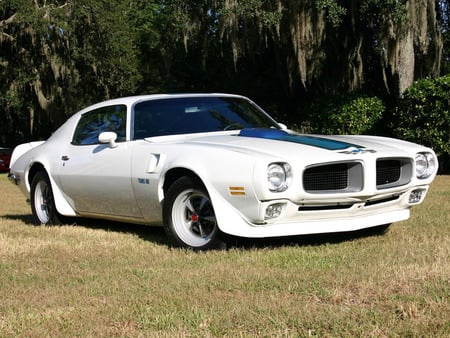 Pontiac Trans-Am 1971 - pontiac, trans-am, 1971