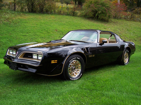 Pontiac FireBird Trans-Am 1977-79 - firebird, 1977-79, pontiac, trans-am