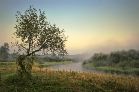 River - beautiful, tree, nature, river