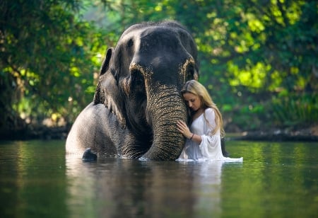 Love - nature, tree, elephant, pond