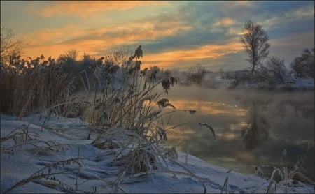 Winter sunset - tree, sunset, winyer, snow