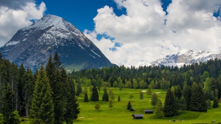 Amazing landscape - mountains, nature, tree, land