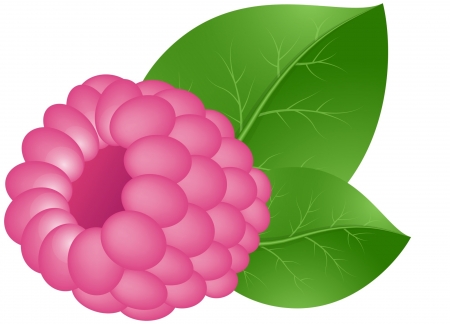 Raspberry - white, berry, card, raspberry, pink, fruit, leaf, green