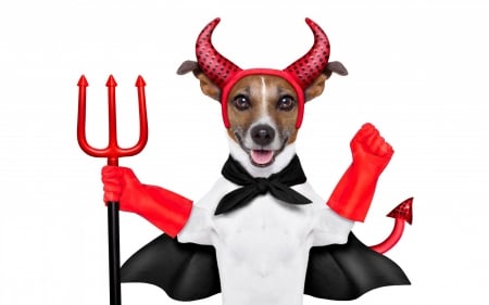 Happy Halloween! - red, funny, demon, animal, puppy, halloween, white, card, jack russell terrier, costume, dog, horns