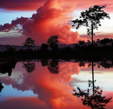 Reflecting Clouds - nature, sky, lake, trees, reflection, clouds