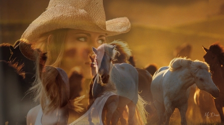 Girl and Her Horses - cowgirl, horses, woman, collage, girl, western