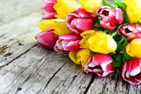 Tulips background - freshness, background, tulips, colorful, bouquet, spring, pretty, beautiful, flowers