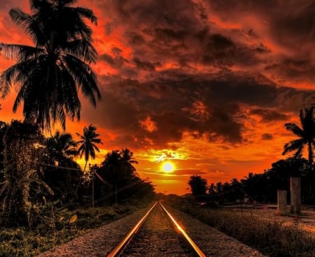 Beat Sunset with the Railway Track - railway, nature, sky, trees, clouds, sunset, palm