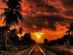 Beat Sunset with the Railway Track