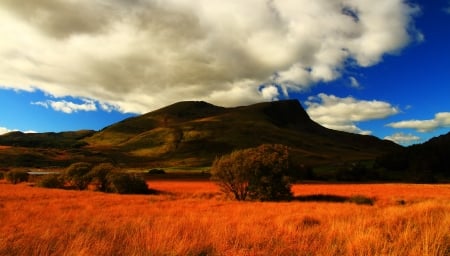 Mountain Landscape - clouds, grass, bush, sky