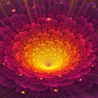 Fractal flower shape