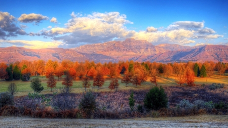 orange trees hdr - trees, autumn, hdr, orange, mountains, sky