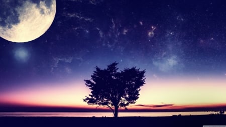 Lonely Tree - moon, fantasy, nature, scenery, original, twilight, art, tree