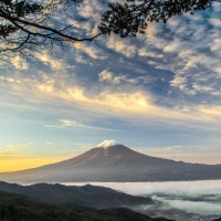 Mt. Fuji