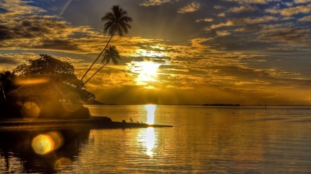 Beach Sunset - palm, landscape, beach, sun, sky, reflection, clouds, trees, sunset, nature, hut