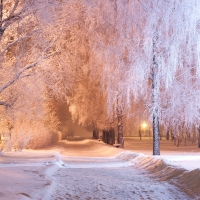 Winter Park at Night