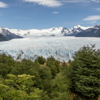 magnificent perito moreno glacier in argentina