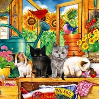 Potting Shed Kittens F2Cmp