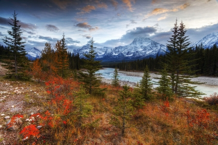 Athabasca River Valley, Canada - clouds, fall, trees, mountains, sky