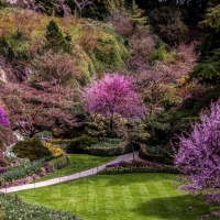 Spring at Butchart Gardens