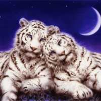 White Tigers