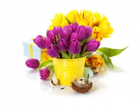 Tulips - flowers, tulips, purple tulips, spring, yellow tulips, egg