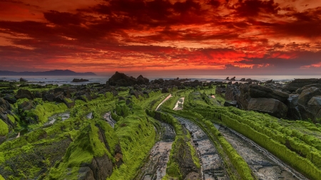 Moss covered rocky seashore under red skies - sky, red, moss, shore, sunset, sea, rocks