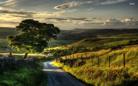 amazing sunset shades on the hills - hill, path, sunset, grass, tree