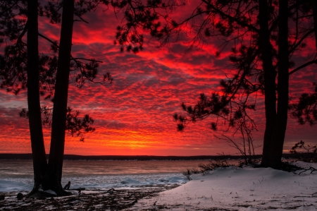 Beautiful Scenery - trees, sunset, nature, beach, sky