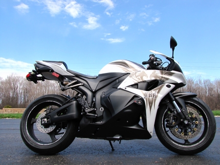 Honda CBR600 - bike, CBR600, Honda, wheel