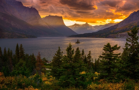 Golden Sunset - sky, lake, firs, clouds, colors