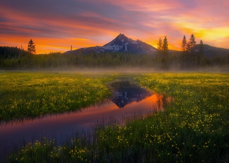 Sparks Lake Meadows, Oregon - mist, landscape, colors, morning, sky