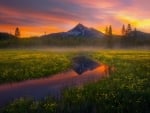 Sparks Lake Meadows, Oregon