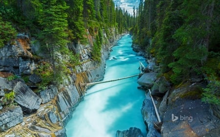 Numa Falls, British Columbia - trees, rocks, water, river