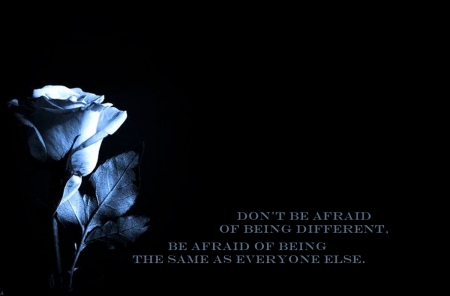 * - ROSES, ROSE, BLUE, WORDS