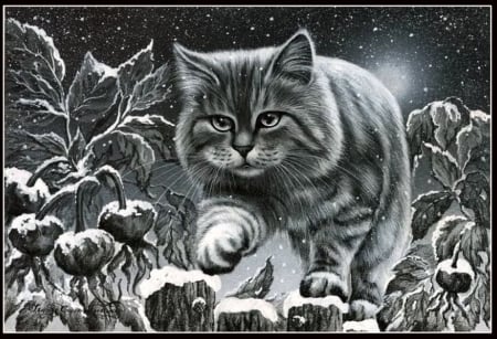 Ð˜.Ð“Ð°Ñ€Ð¼Ð°ÑˆÐ¾Ð²Ð° - art, cat, animal, feline, kitten